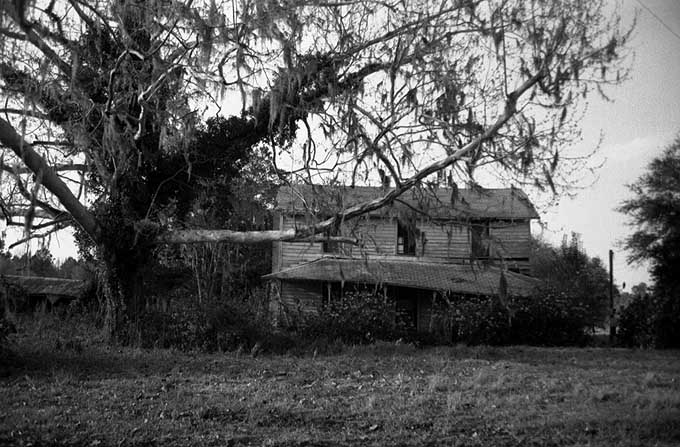 photograph