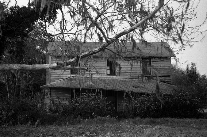 photograph