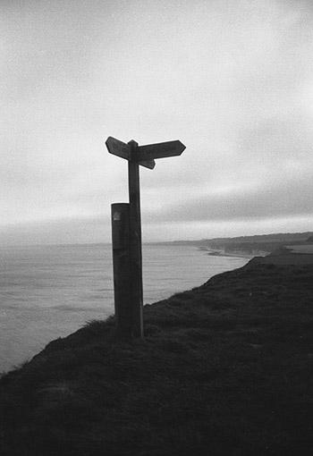 photograph