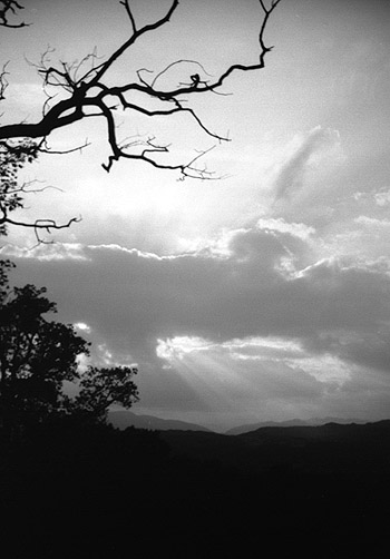 photograph