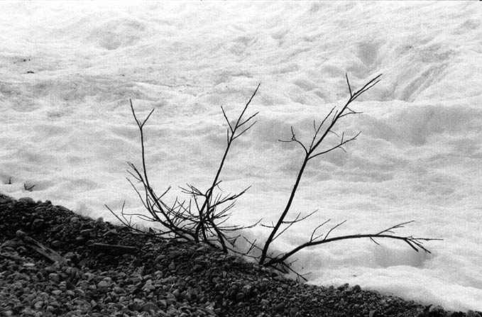 photograph